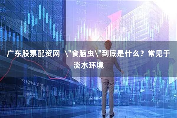 广东股票配资网  ＂食脑虫＂到底是什么？常见于淡水环境